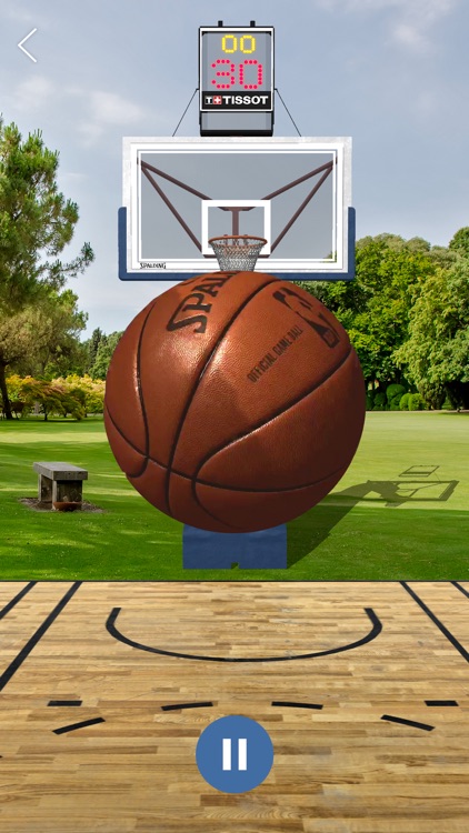 NBA AR Basketball