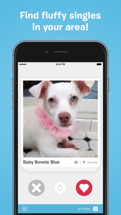 BarkBuddy